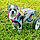 Chuchi