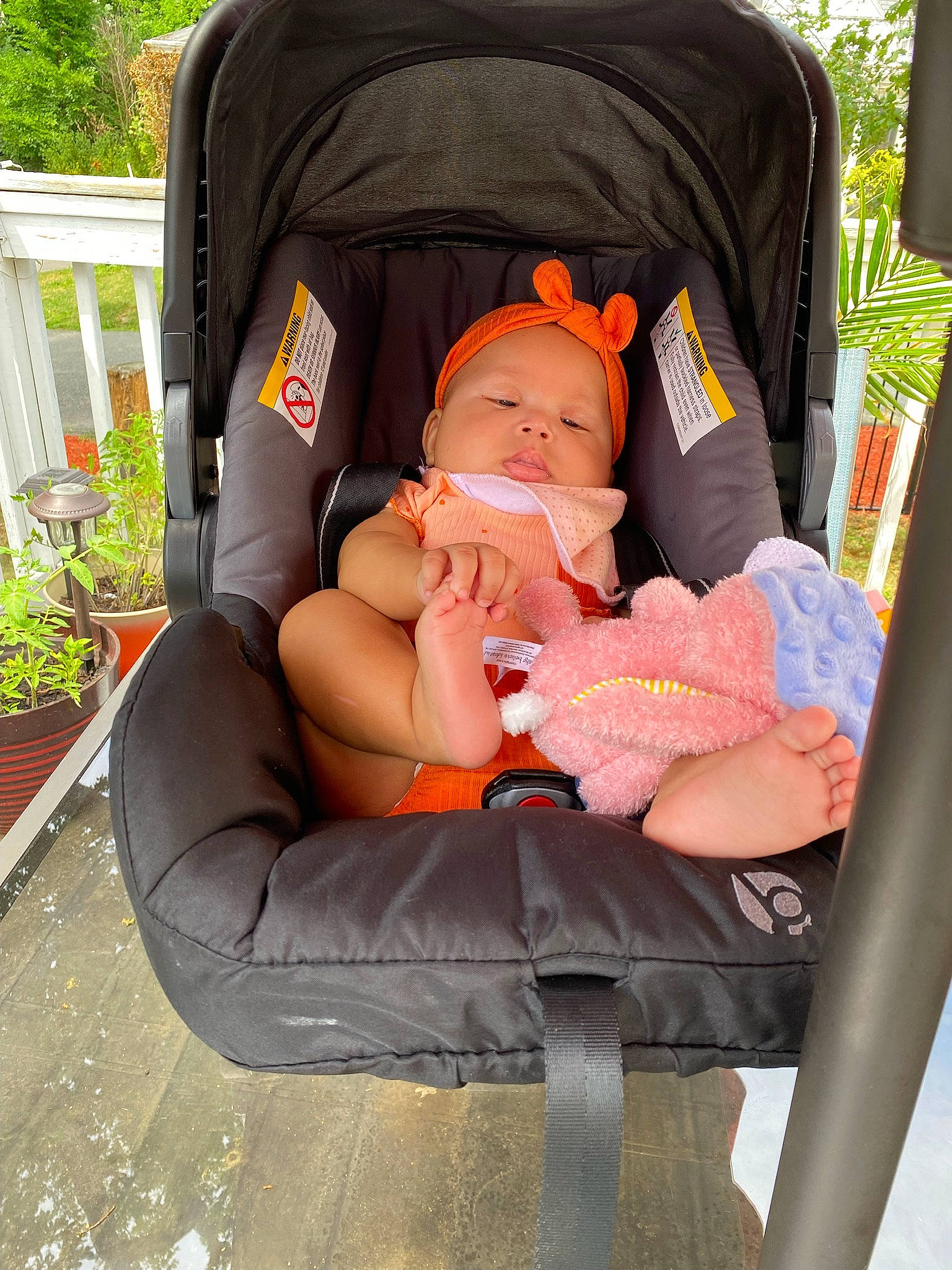 Angelina is registered to the contest to win money with this photo: baby, baby_carriage, baby_products, baby_safety, baby_toddler_clothing, car_seat, chair, child, comfort, finger, flowerpot, grass, houseplant, lap, person, plant, product, sitting, thigh, toddler