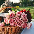 Liliane T.