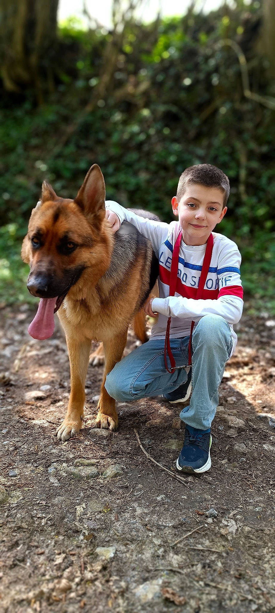 Phantom a rejoint le concours — aidez-le/la à gagner de superbes lots ! adventure, canidae, carnivore, companion_dog, dog, dog_breed, dog_hiking, fawn, fun, jeans, people_in_nature, plant, recreation, smile, soil, sporting_group, walking, working_animal, working_dog