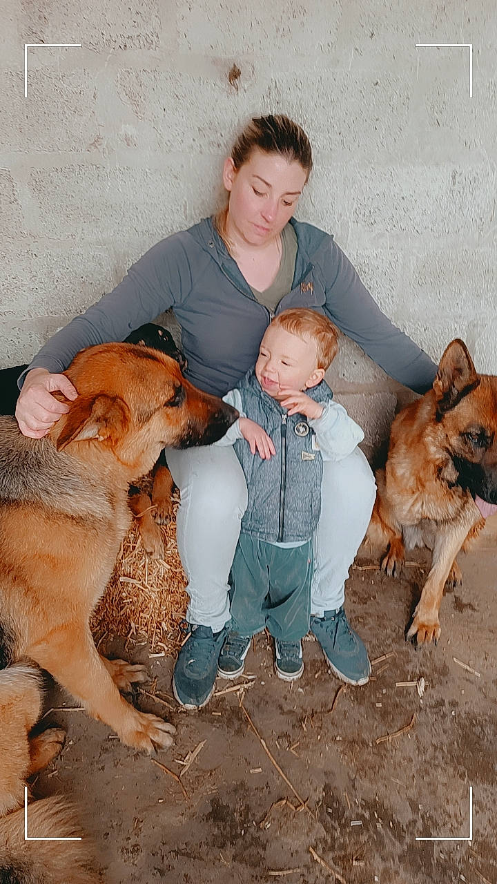 Phantom a rejoint le concours — aidez-le/la à gagner de superbes lots ! ancient_dog_breeds, boot, canidae, carnivore, companion_dog, dog, dog_breed, dog_supply, family_pictures, fawn, fur, lap, mammal, shoe, sitting, sneakers, spitz, sporting_group, toddler, vertebrate