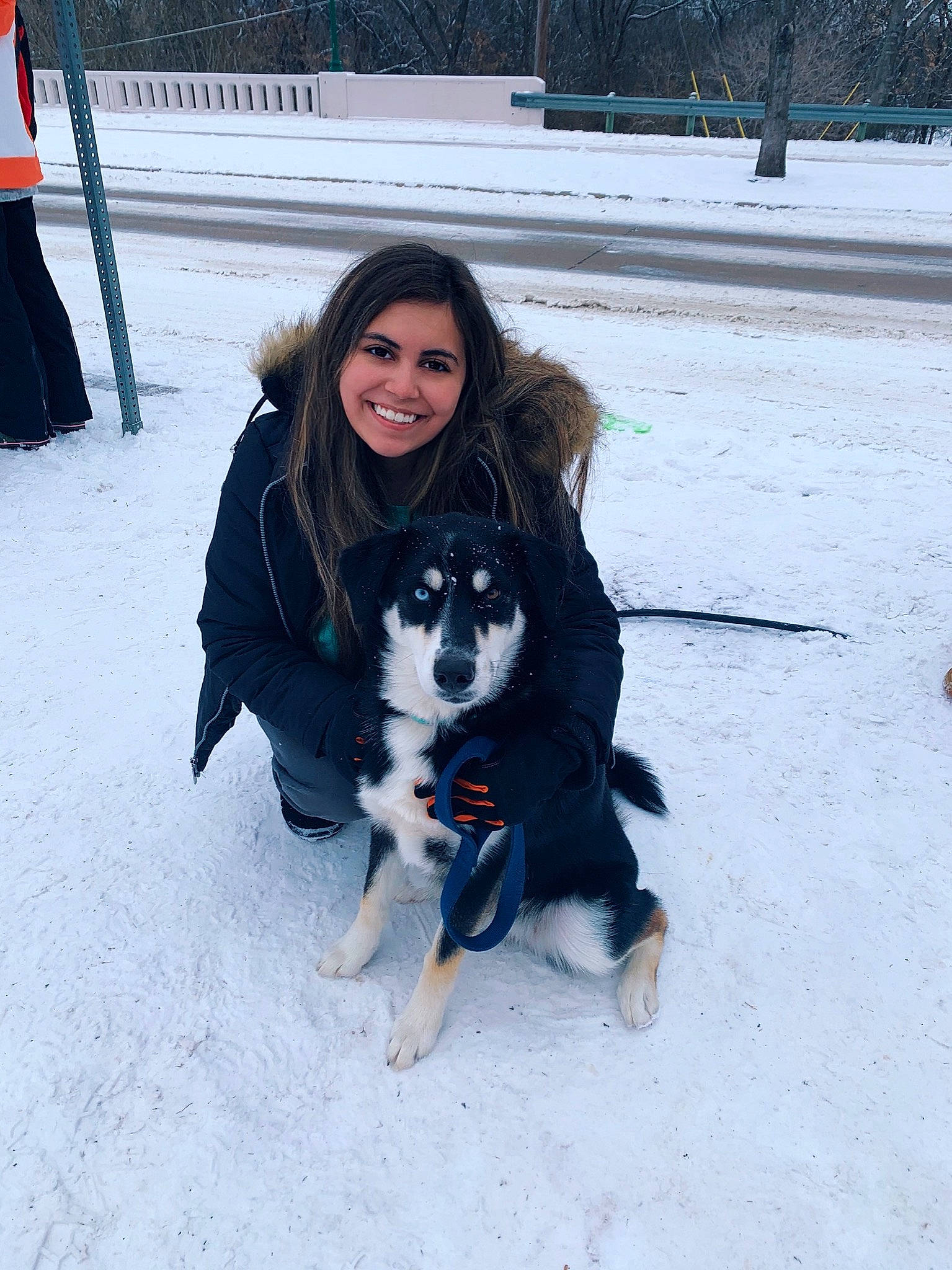 Mia River is registered to the contest to win money with this photo: canidae, carnivore, companion_dog, dog, dog_breed, electric_blue, freezing, fun, fur, happy, herding_dog, leisure, mammal, recreation, smile, snow, sporting_group, tree, vertebrate, winter