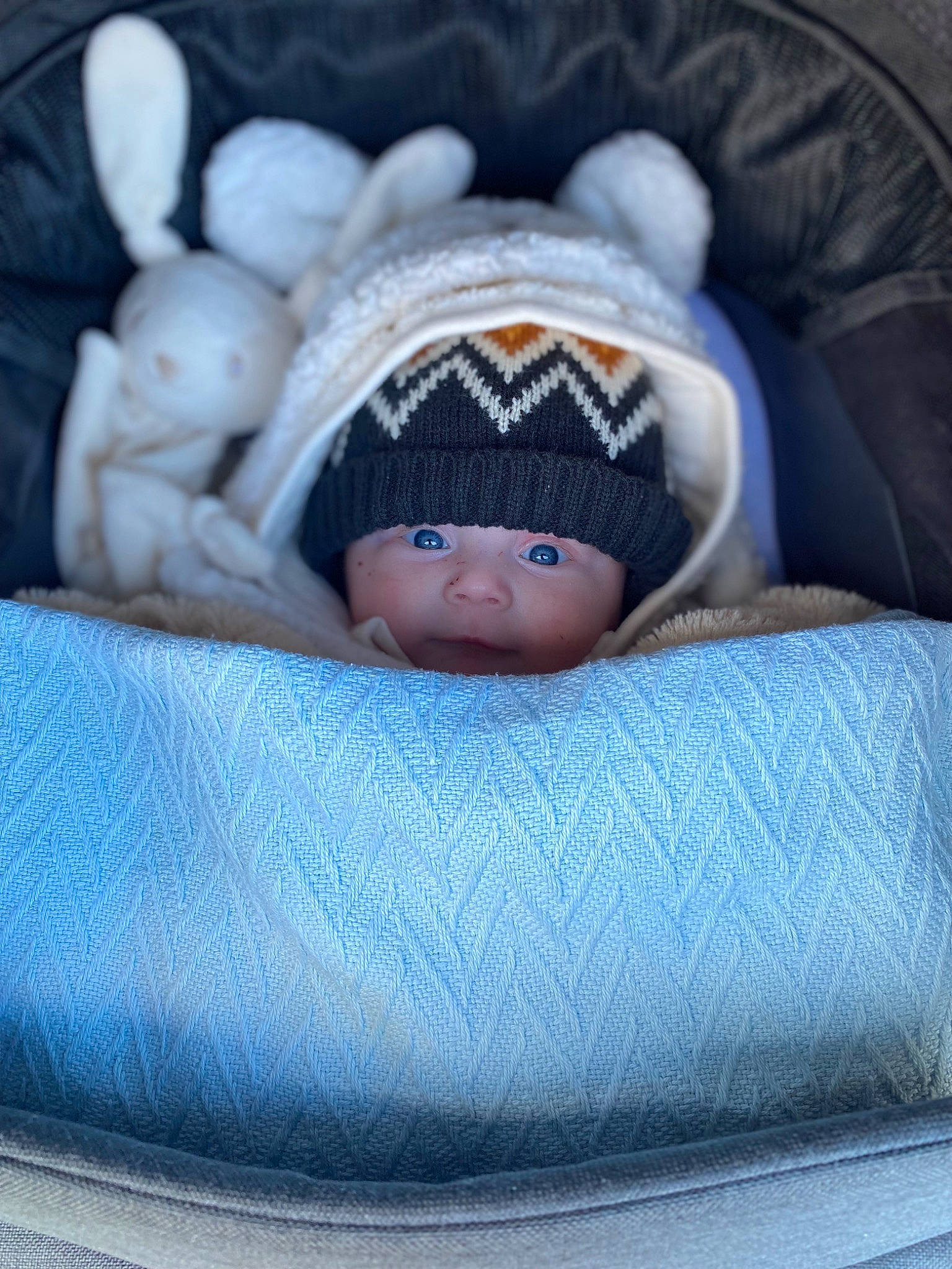 Tom participe au concours pour gagner de l'argent avec cette photo : azure, baby, baby_products, baby_sleeping, baby_toddler_clothing, beanie, bedding, bedtime, child, comfort, electric_blue, eye, fur, headwear, infant_bed, knit_cap, linens, person, room, textile