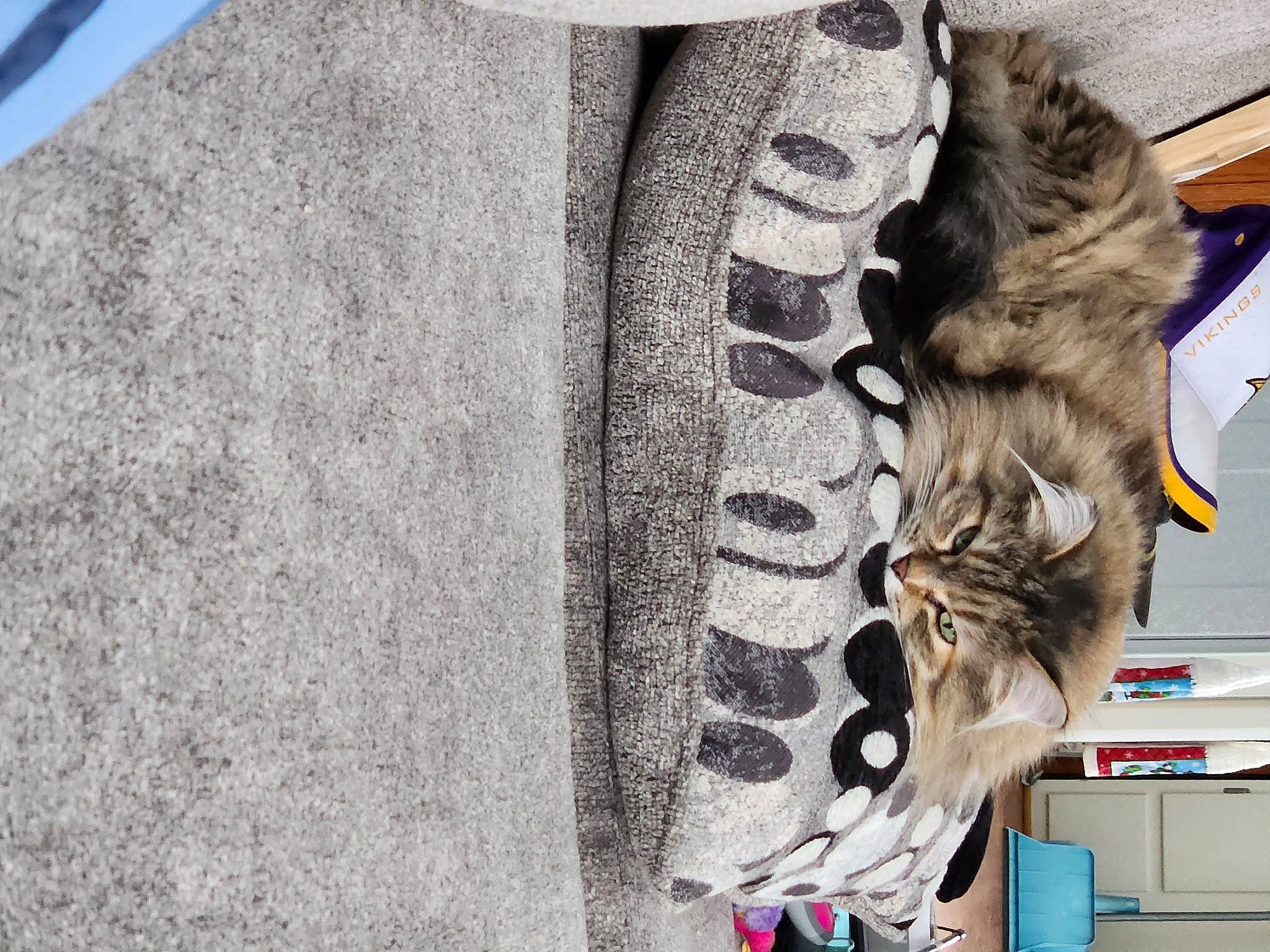 Kelly joined the competition — help win amazing prizes! art, blazer, canidae, carnivore, collar, denim, fashion_accessory, felidae, fur, fur_clothing, grey, hide, natural_material, pattern, sculpture, sleeve, small_to_medium_sized_cats, sporting_group, tail, wood