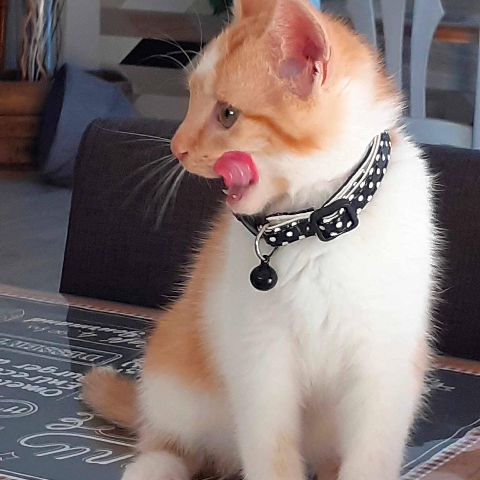 Caramel
