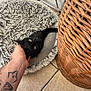 cat, black_cat, pet_bed, hand, tattoo, floor_tiles, wicker_basket, pet_bowl, indoor, cozy, scratching, fur, resting, animal, domestic, cute, relaxed, closeup, paw_print, home