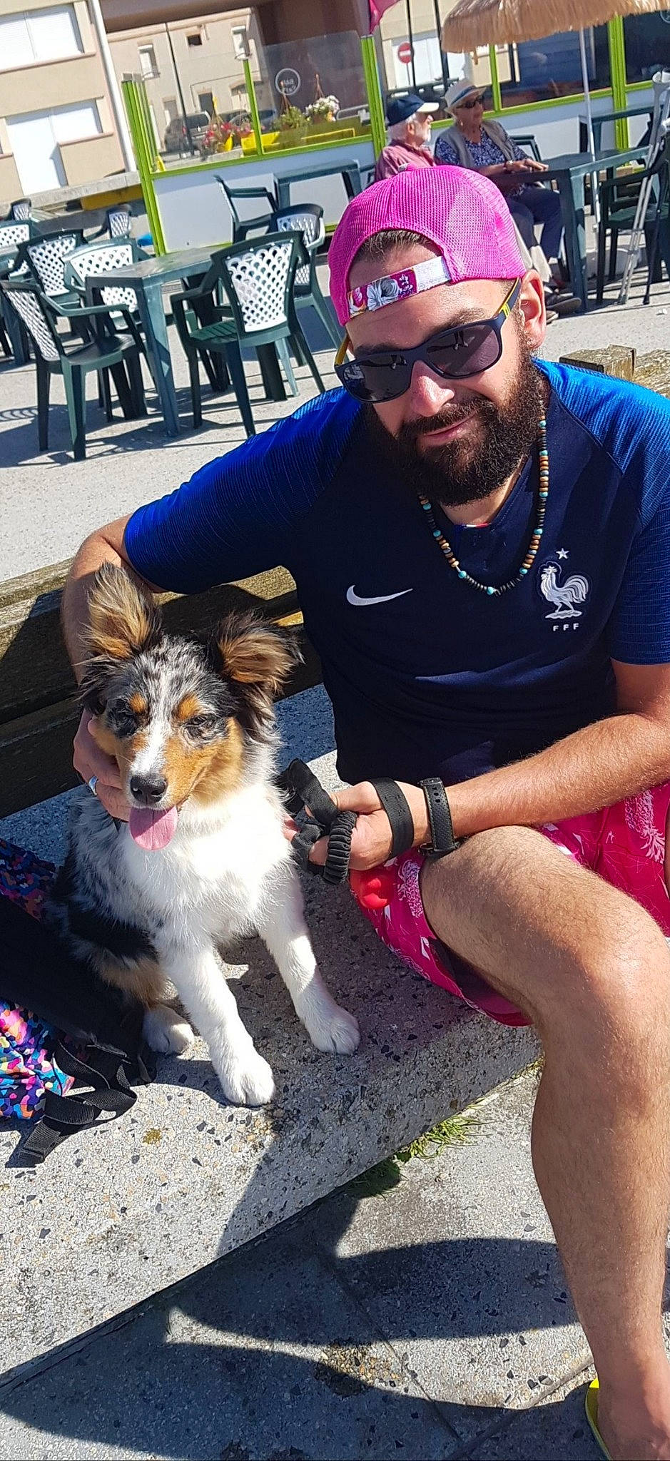 Phoenix a rejoint le concours — aidez-le/la à gagner de superbes lots ! australian_shepherd, canidae, carnivore, companion_dog, dog, dog_breed, dog_walking, fun, mammal, miniature_australian_shepherd, sporting_group