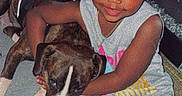 Navi Rose is registered to the contest to win money with this photo: child, girl, dog, pet, hugging, smiling, portrait, indoors, sitting, casual_clothing, pink_pants, gray_shirt, necklace, curly_hair, brown_dog, white_markings, couch, home, social_media, text_overlay