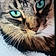 Mister Meowser