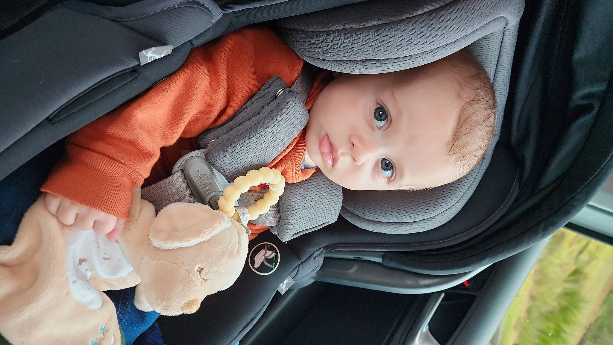 John is registered to the contest to win money with this photo: auto_part, baby, baby_carriage, baby_products, car_seat, child, comfort, fashion_accessory, person, plant, sitting, toddler, vehicle_door