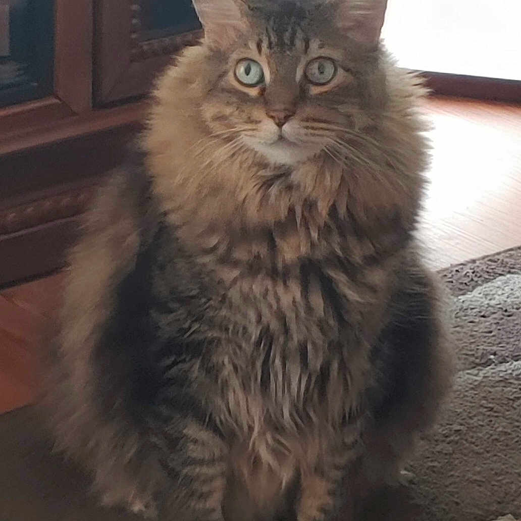 Toby