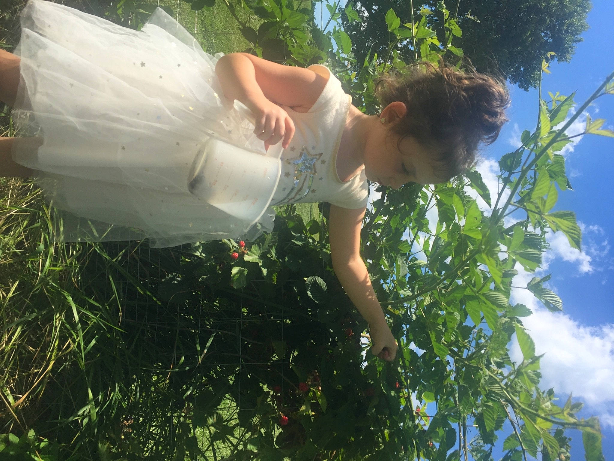 Ayva is registered to the contest to win money with this photo: bridal_accessory, bridal_clothing, bridal_party_dress, bridal_veil, bride, ceremony, dress, elbow, gown, meadow, people_in_nature, person, spring, summer, sunlight, veil, wedding, wedding_ceremony_supply, wedding_dress