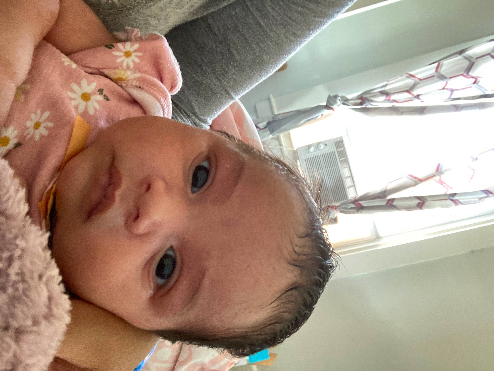 Naylani joined the competition — help win amazing prizes! baby, cheek, chin, ear, eyebrow, eyelash, face, facial_expression, finger, happy, human_body, iris, lip, mouth, nose, person, plant, skin, smile, toddler