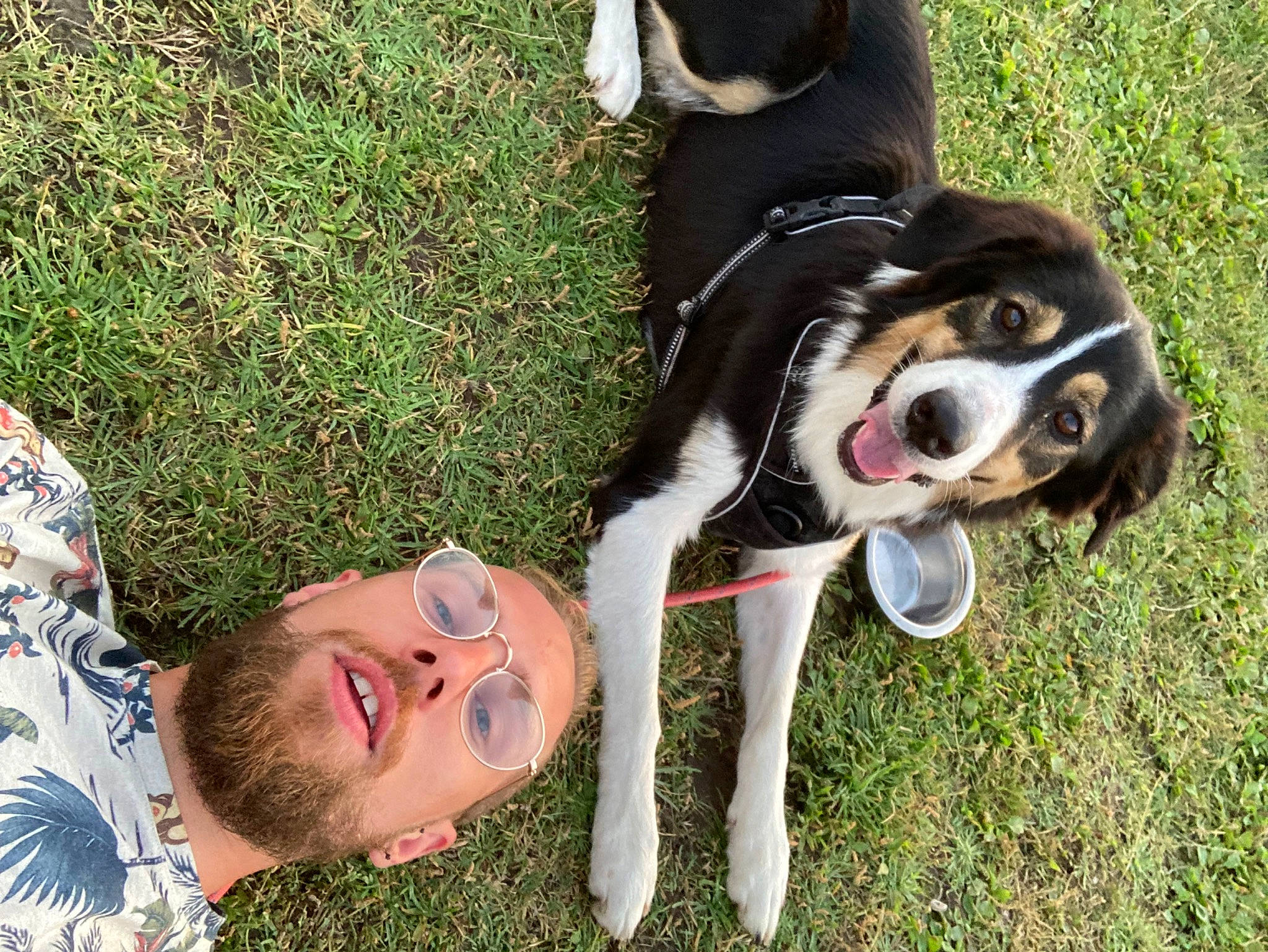 Pearl participe au concours pour gagner de l'argent avec cette photo : canidae, carnivore, companion_dog, dog, dog_breed, fashion_accessory, fawn, fun, fur, grass, happy, leash, leisure, mammal, people_in_nature, plant, recreation, smile, snout, sporting_group