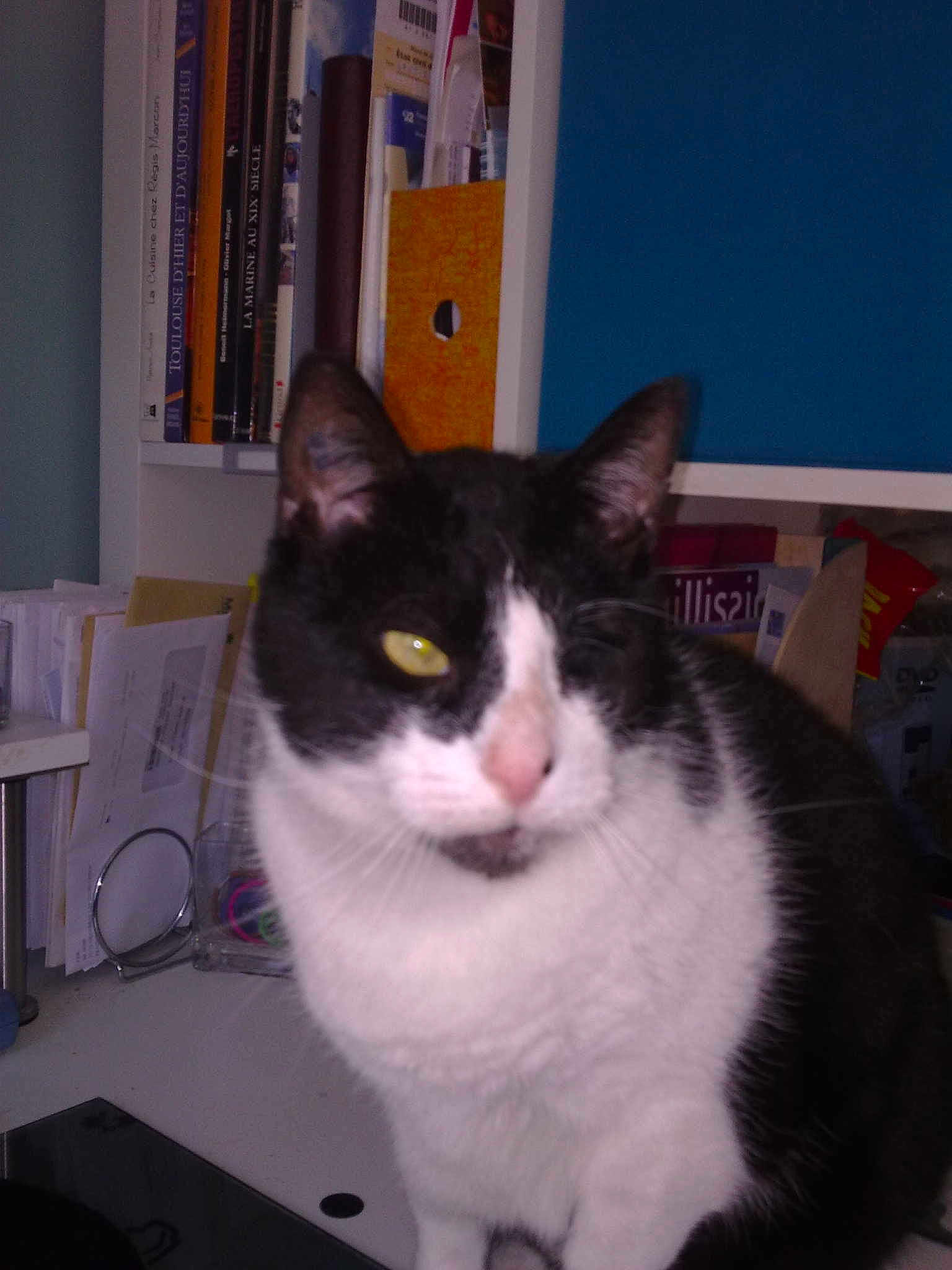 Toulouse participe au concours pour gagner de l'argent avec cette photo :