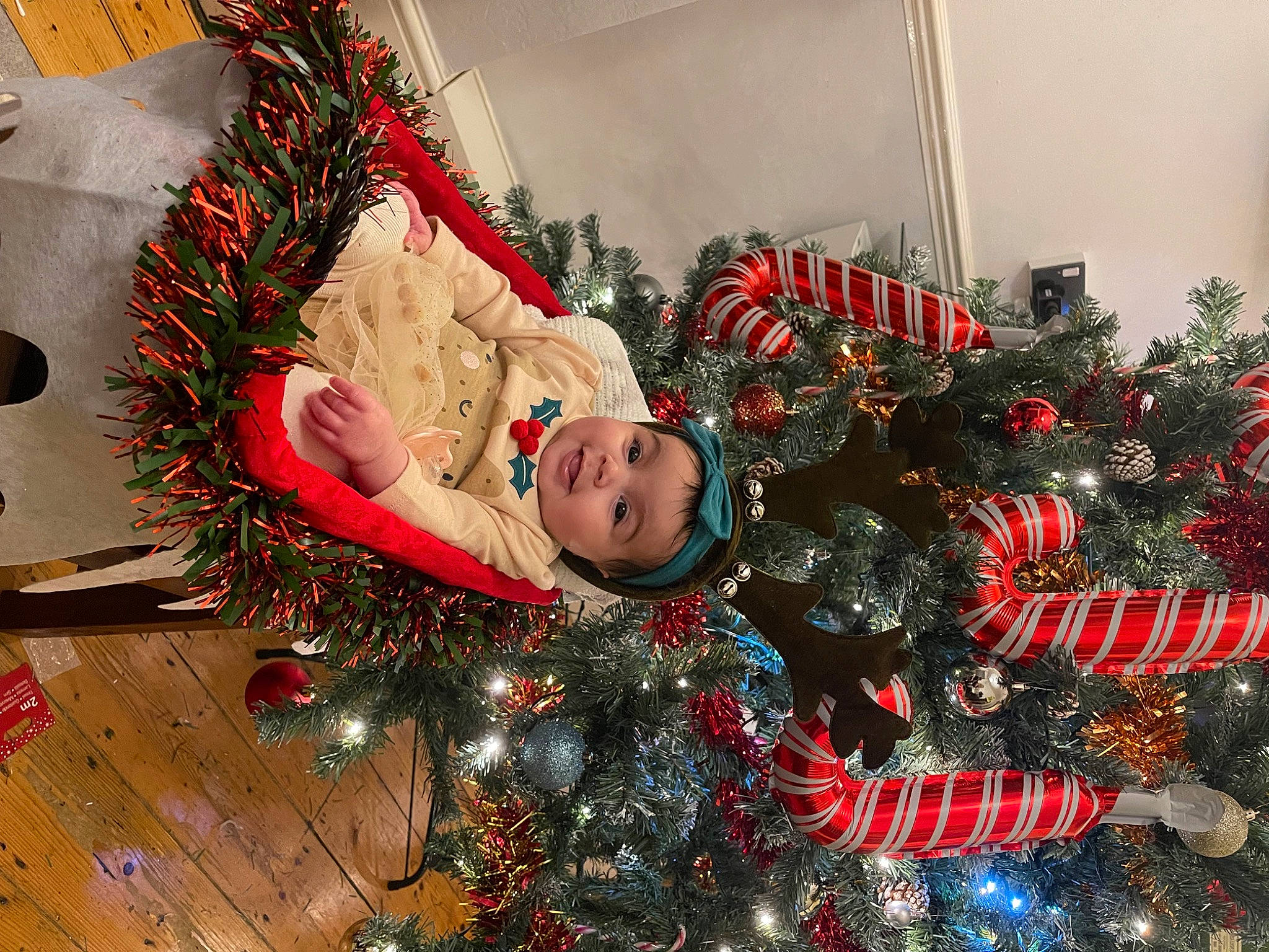 Clara is registered to the contest to win money with this photo: carmine, christmas, christmas_decoration, christmas_eve, christmas_ornament, christmas_tree, conifer, event, evergreen, fir, headwear, holiday, holiday_ornament, interior_design, ornament, person, plant, room, toddler, tradition