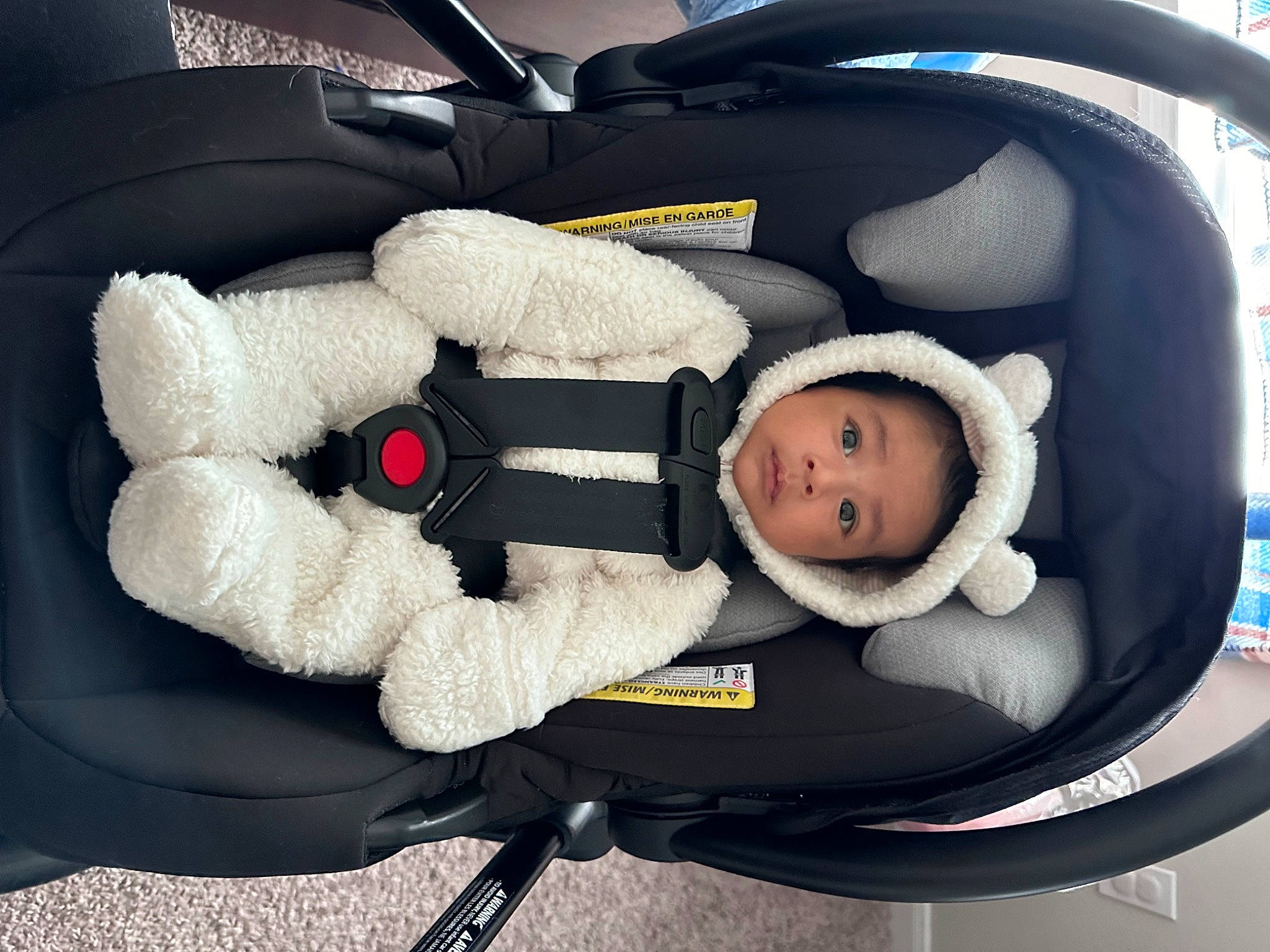 Matthias is registered to the contest to win money with this photo: auto_part, baby, baby_carriage, baby_in_car_seat, baby_products, baby_safety, baby_sleeping, baby_toddler_clothing, bag, car_seat, car_seat_cover, carmine, child, comfort, facial_expression, motor_vehicle, person, seat_belt, sitting, steering_wheel