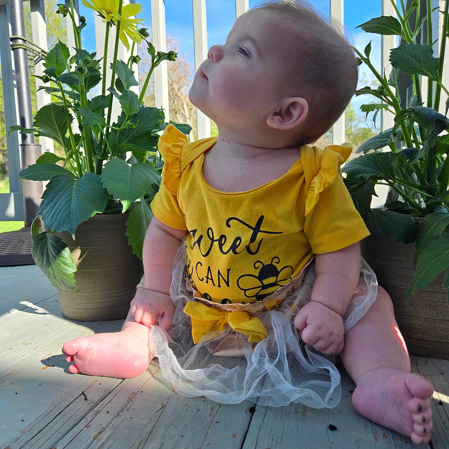 Delylah joined the competition — help win amazing prizes! architecture, baby, face, flower, flowerarrangement, head, herbal, herbs, jar, leaf, person, petal, photography, plant, planter, portrait, pottedplant, pottery, vase, wood