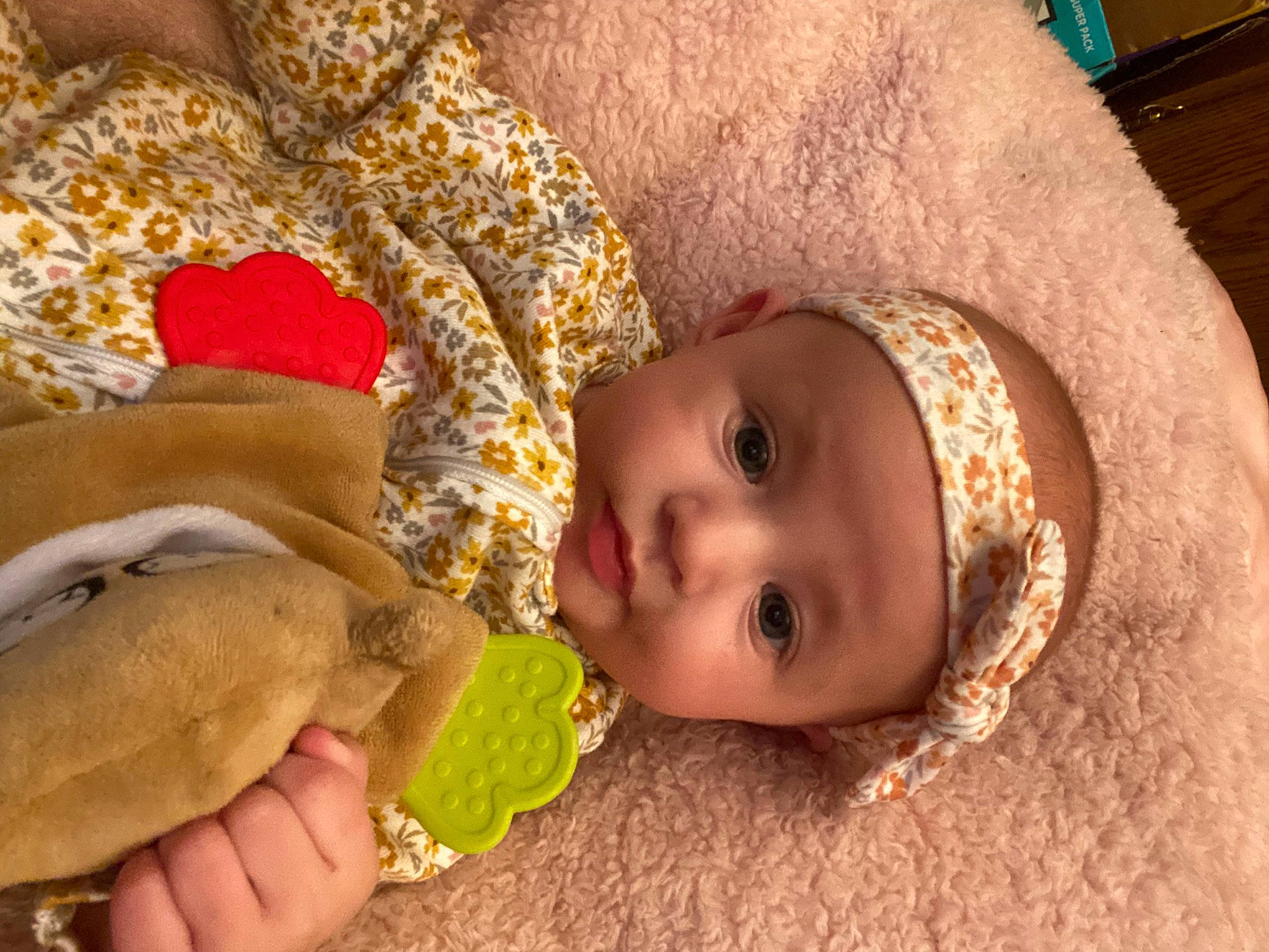 Penelope is registered to the contest to win money with this photo: baby, baby_toddler_clothing, child, comfort, comfort_food, finger_food, fun, fur, happy, headwear, ingredient, linens, nose, people_in_nature, person, toddler, tree, wood
