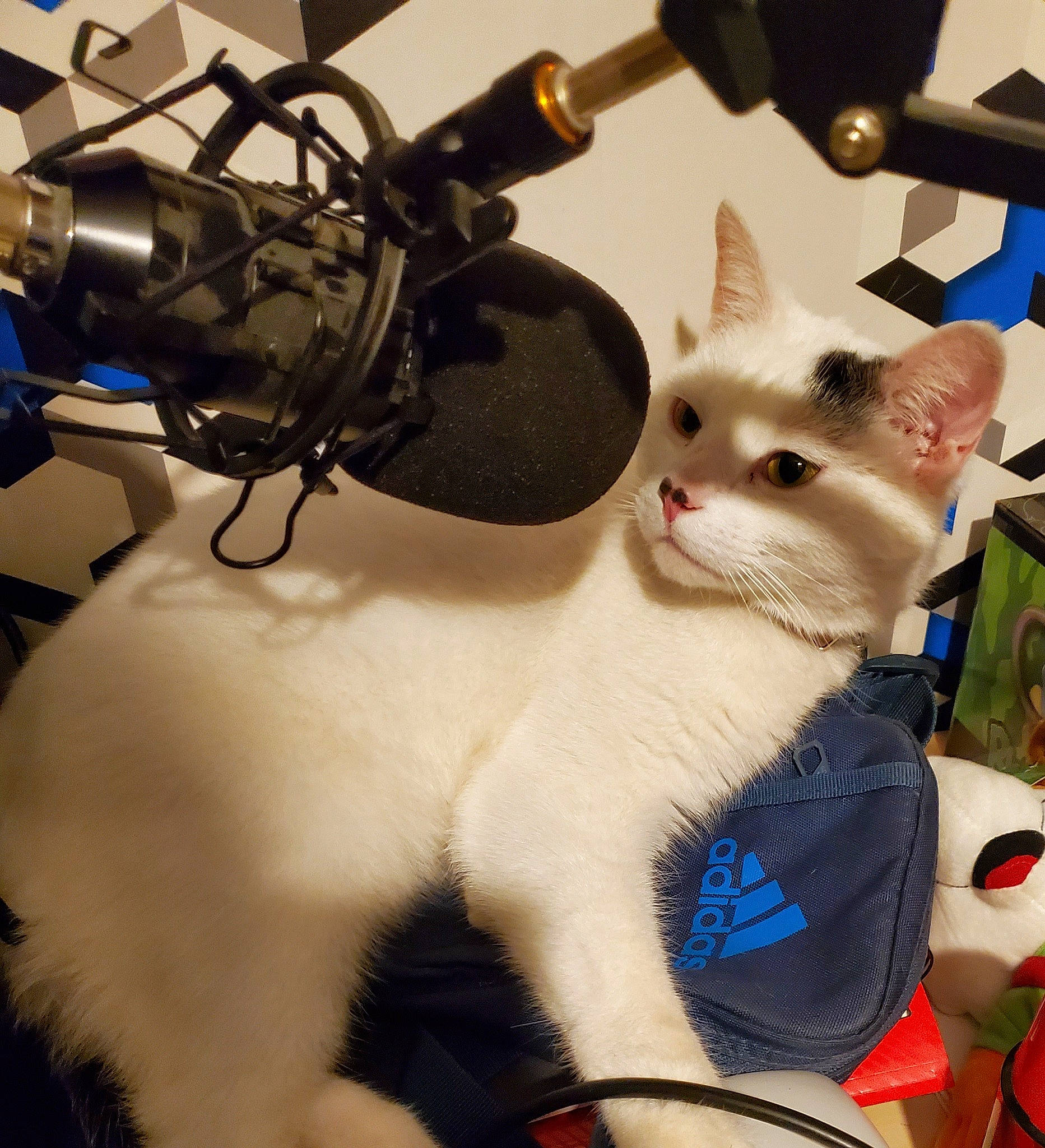 Felix