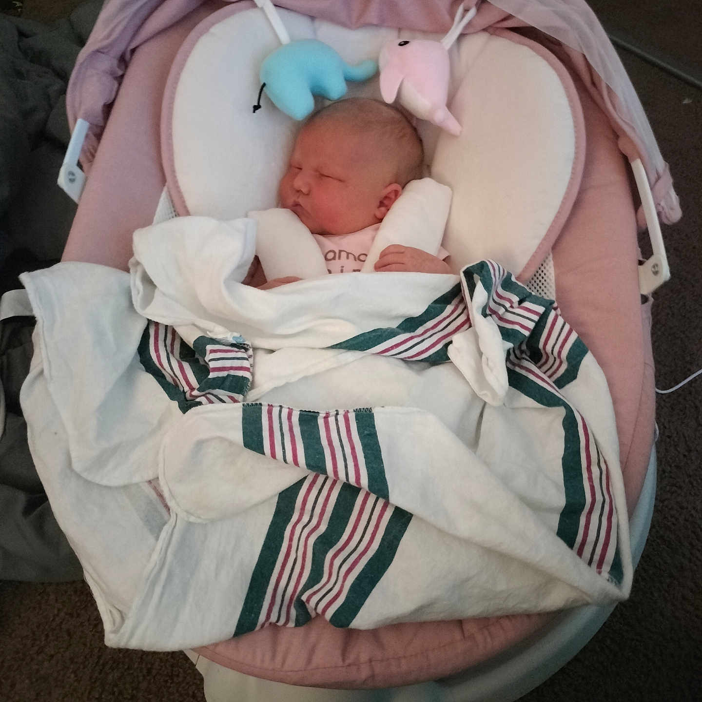 Ryleigh is registered to the contest to win money with this photo: baby, baby_rocker, blanket, carpet, child, clothing, comfort, cozy, cute, face, head, indoor, infant, newborn, peaceful, person, rest, sleeping, soft_toys, wrapped