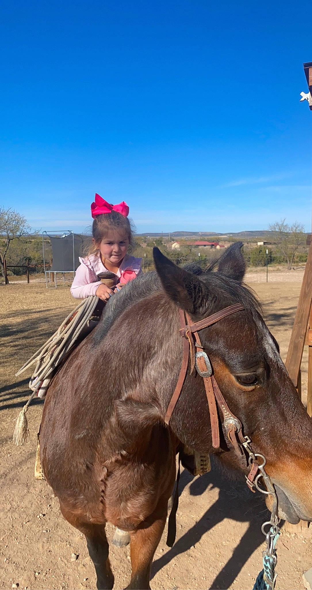 Adalynne is registered to the contest to win money with this photo: animal_sports, bit, bridle, ecoregion, equestrian_sport, equestrianism, headgear, horse, horse_supplies, horse_tack, landscape, mane, pack_animal, person, recreation, rein, saddle, sky, travel, tree