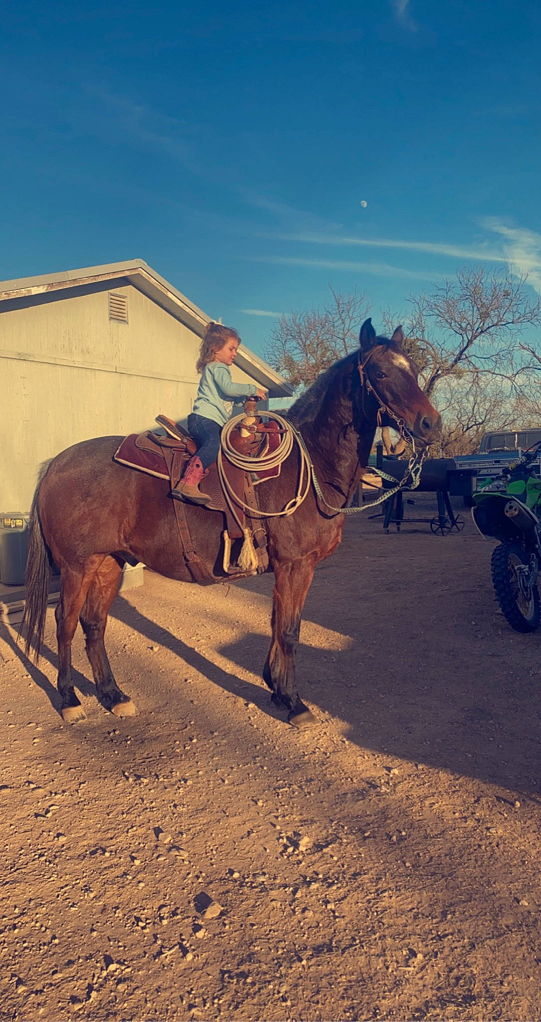 Adalynne joined the competition — help win amazing prizes! bridle, cloud, ecoregion, halter, horse, horse_supplies, horse_tack, landscape, mane, mode_of_transport, pack_animal, person, rein, rural_area, saddle, sky, sorrel, tire, tree, wheel