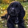 Titou