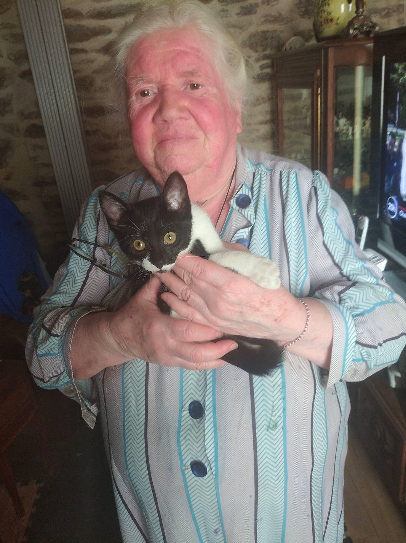 Missprincess a rejoint le concours — aidez-le/la à gagner de superbes lots ! black_cat, bow_tie, carnivore, cat, collar, dress_shirt, felidae, formal_wear, fur, gesture, jaw, moustache, organ, person, picture_frame, sleeve, small_to_medium_sized_cats, television, thumb, whiskers