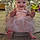 Bryar