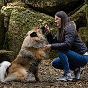 Kuzco a rejoint le concours — aidez-le/la à gagner de superbes lots ! woman, dog, outdoor, forest, rocks, leaves, crouching, feeding, pet, fur, casual_clothing, glasses, long_hair, sneakers, nature, friendship, animal, brown, black, white