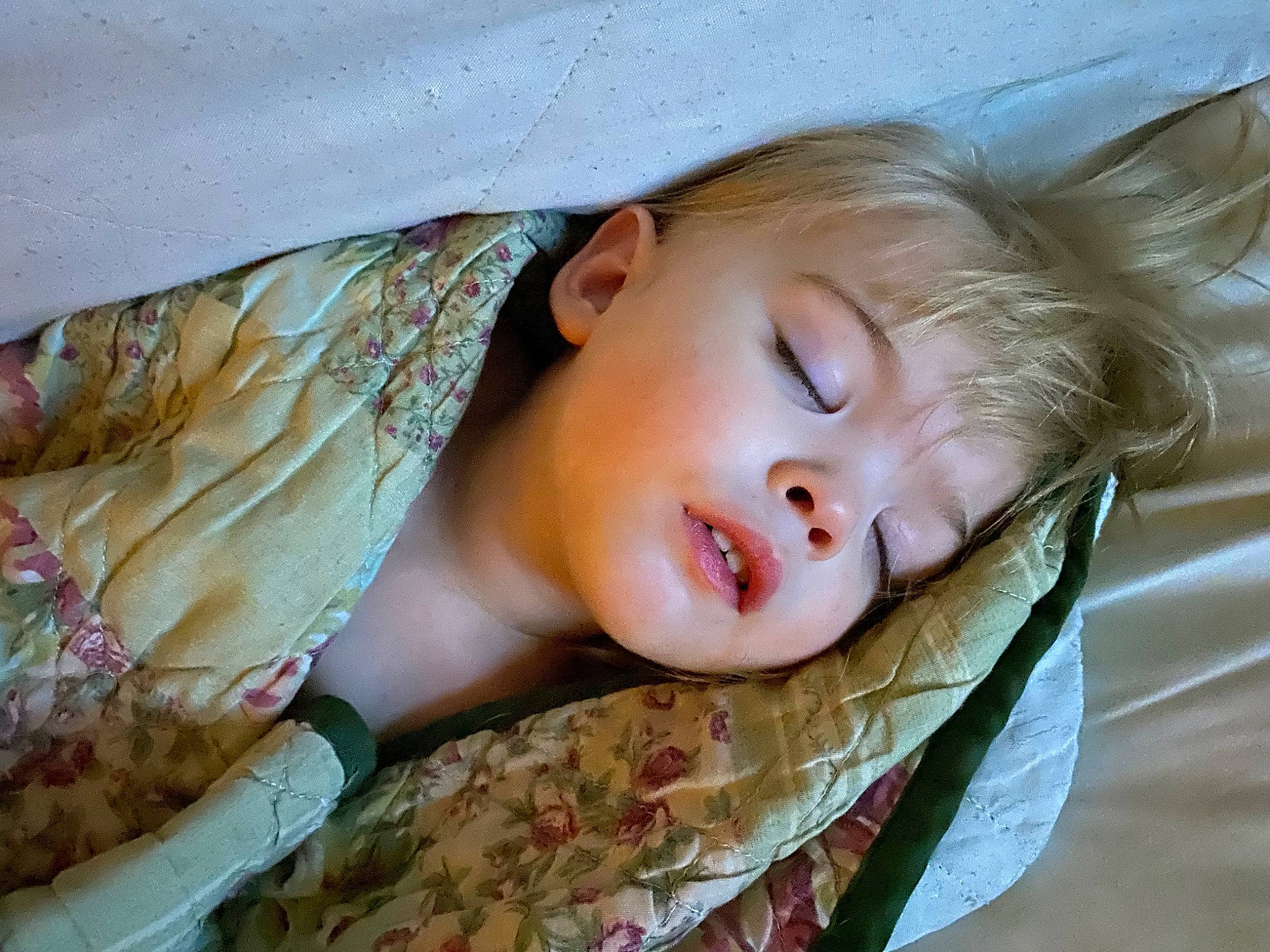 Clementine is registered to the contest to win money with this photo: blond, cheek, child, comfort, eyebrow, eyelash, grass, happy, human_body, iris, linens, lip, nose, person, skin, smile, textile, toddler, tree, window