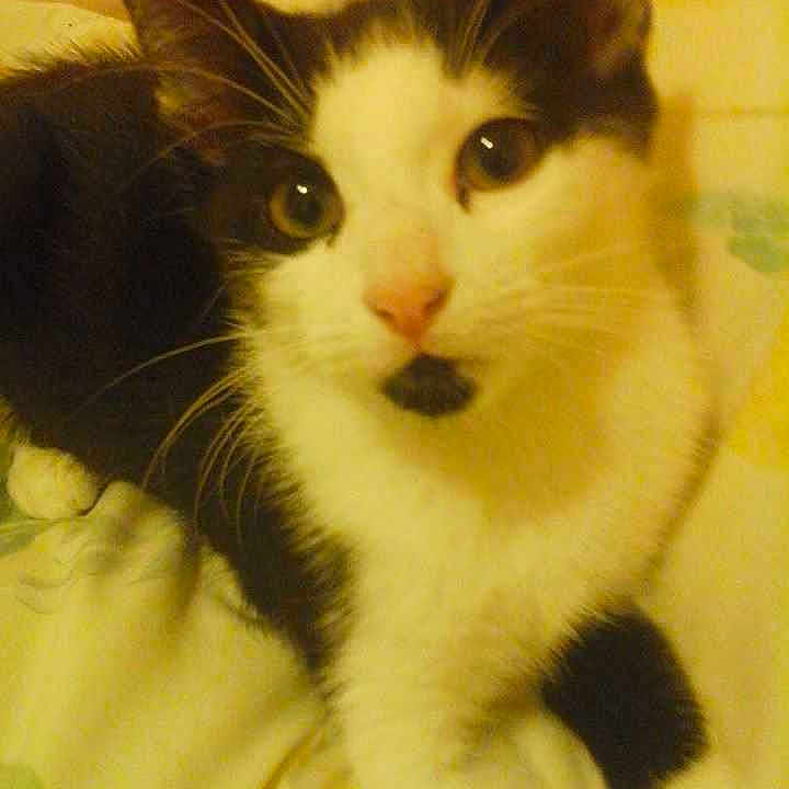 Kiki