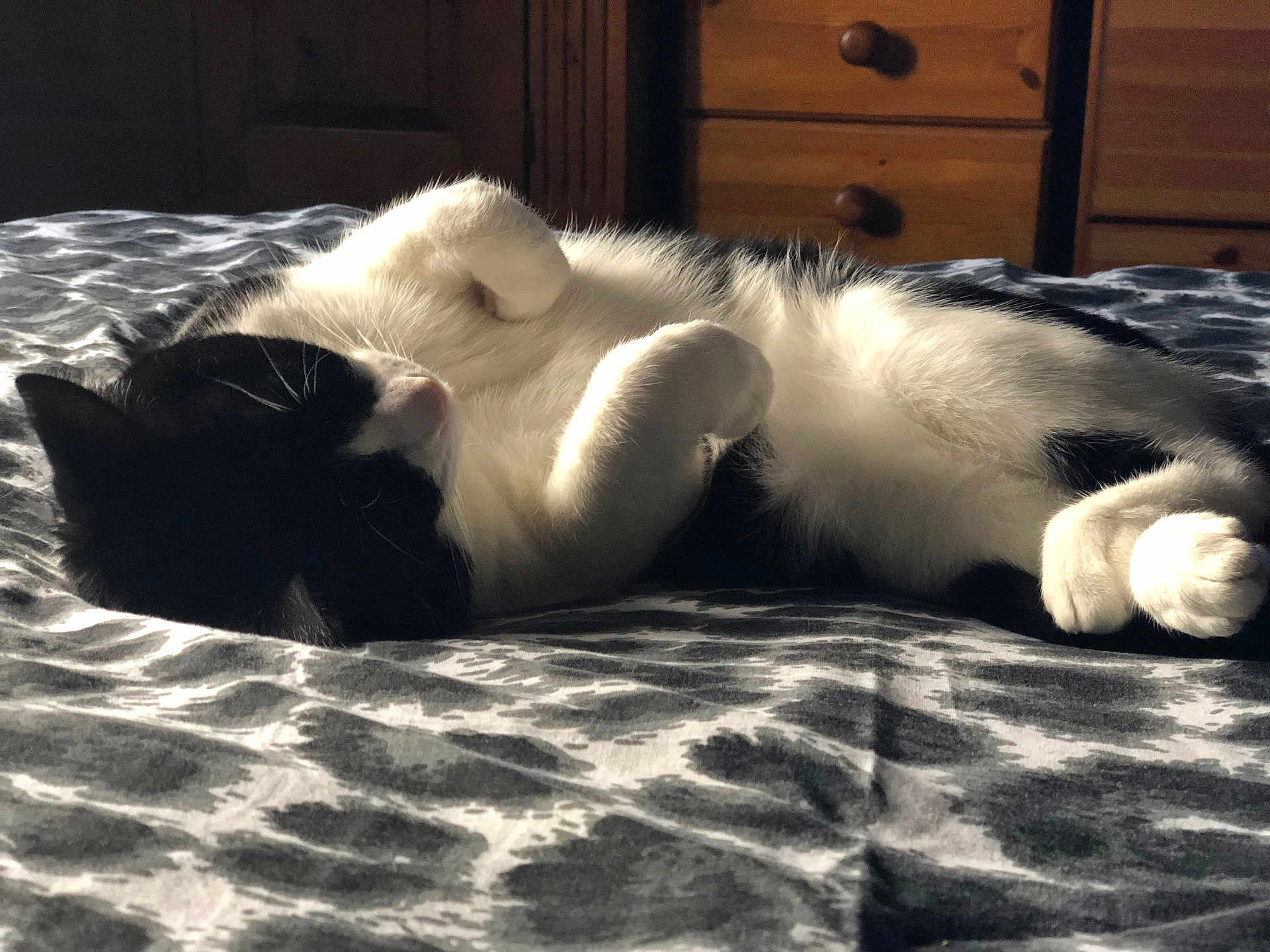 Buddles