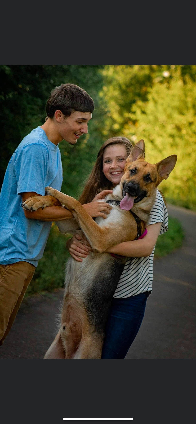 Champion joined the competition — help win amazing prizes! canidae, carnivore, companion_dog, dog, dog_breed, event, fawn, fun, fur, gesture, grass, happy, leisure, people_in_nature, plant, shorts, smile, snout, sporting_group, wildlife