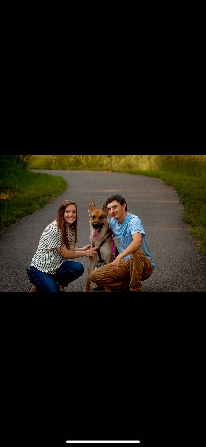 Champion is registered to the contest to win money with this photo: carnivore, comfort, companion_dog, dog, dog_breed, fawn, flash_photography, friendship, fun, gesture, grass, happy, leisure, plant, recreation, sitting, smile, sporting_group, travel, tree