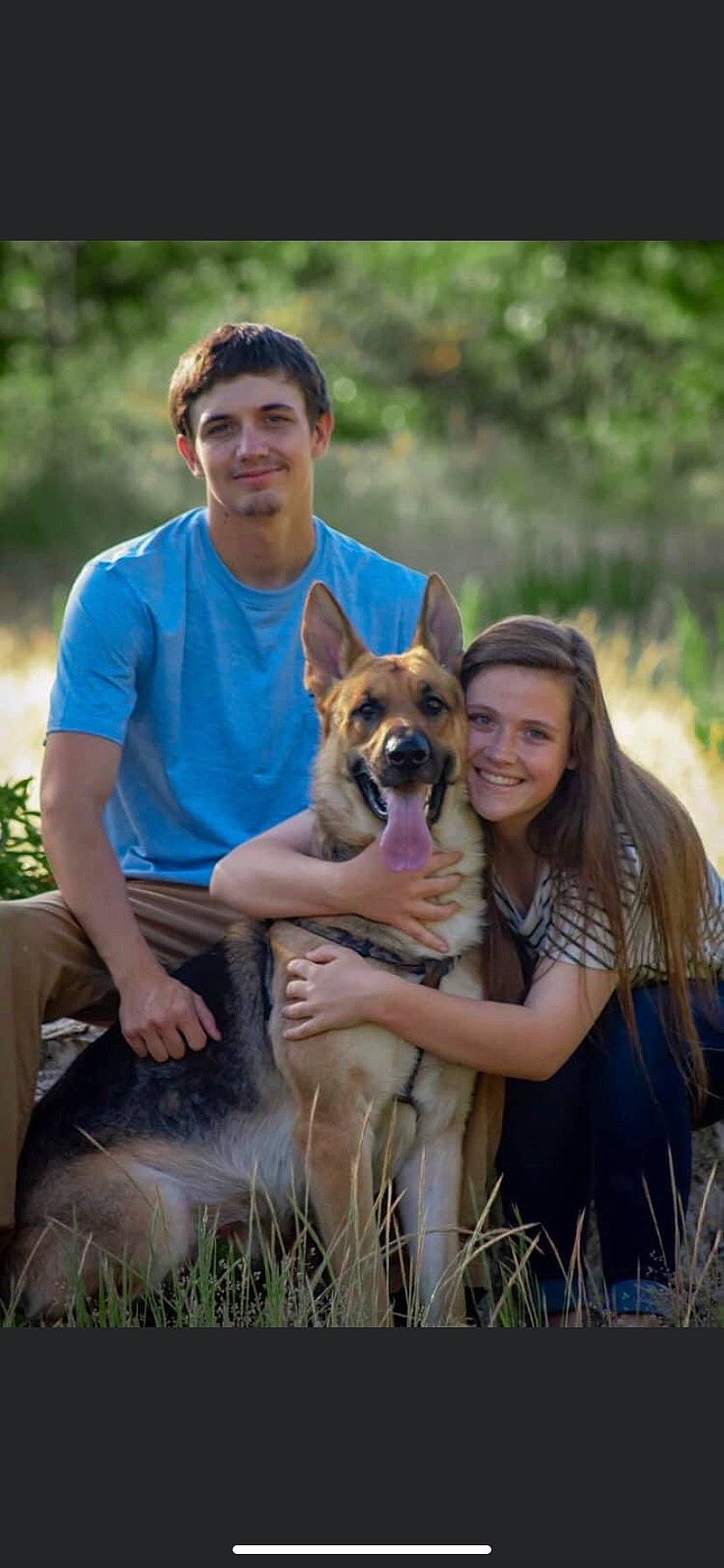 Champion is registered to the contest to win money with this photo: canidae, carnivore, clothing, companion_dog, dog, dog_breed, fawn, forest, fun, grass, happy, leisure, plant, recreation, sitting, smile, sporting_group, wilderness, wildlife, youth