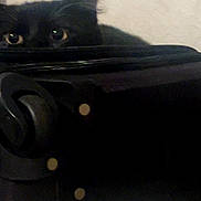 Night Fury is registered to the contest to win money with this photo: black_cat, cat, peeking, suitcase, ear, eye, indoor, furniture, wall, texture, shadow, animal, pet, curious, hidden, dark, soft_light, closeup, quiet, still_life