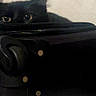 black_cat, cat, peeking, suitcase, ear, eye, indoor, furniture, wall, texture, shadow, animal, pet, curious, hidden, dark, soft_light, closeup, quiet, still_life
