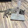 cat, tabby_cat, scratching_post, flooring, wood_floor, indoor, pet, relaxed, resting, pom_pom, furniture, mirror, cabinet, gray, striped, animal, cute, domestic_cat, laying_down, household