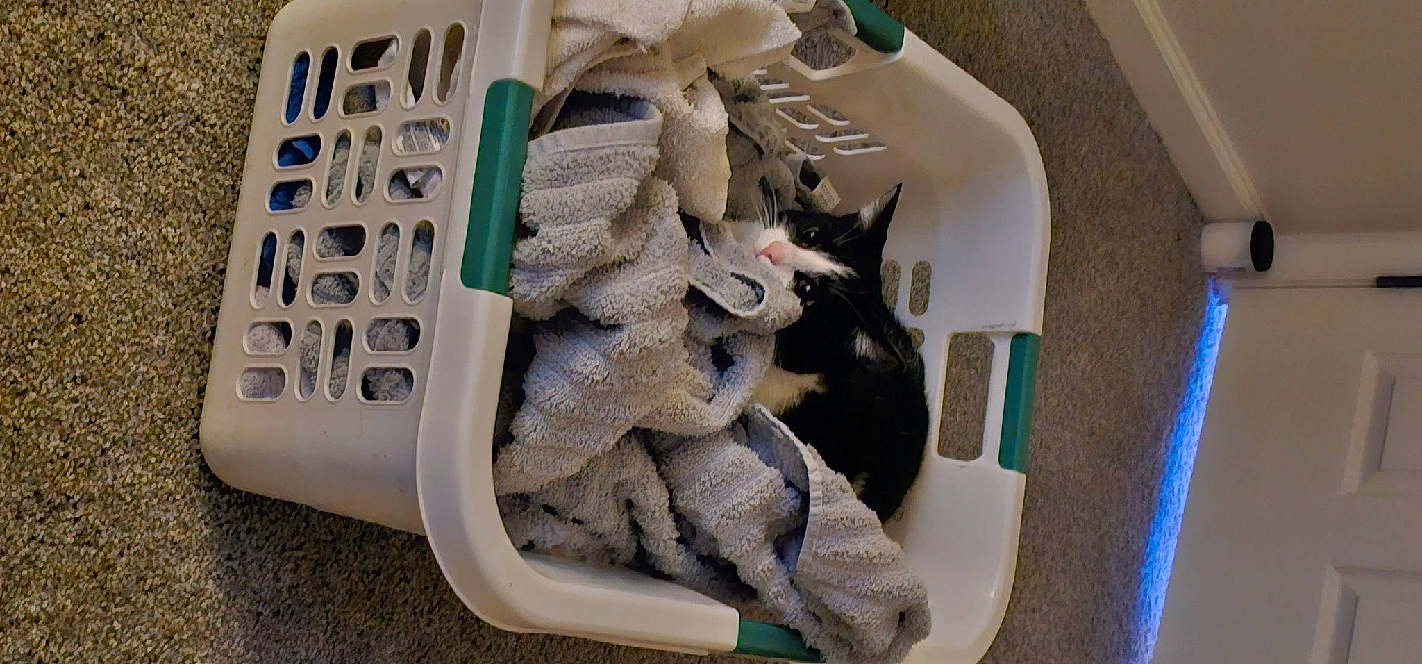 Lola is registered to the contest to win money with this photo: athletic_shoe, audio_equipment, bag, carmine, communication_device, computer_keyboard, fashion_accessory, font, gadget, grey, mobile_phone, numeric_keypad, office_equipment, outdoor_shoe, portable_communications_device, product, telephone, telephony, toy, walking_shoe