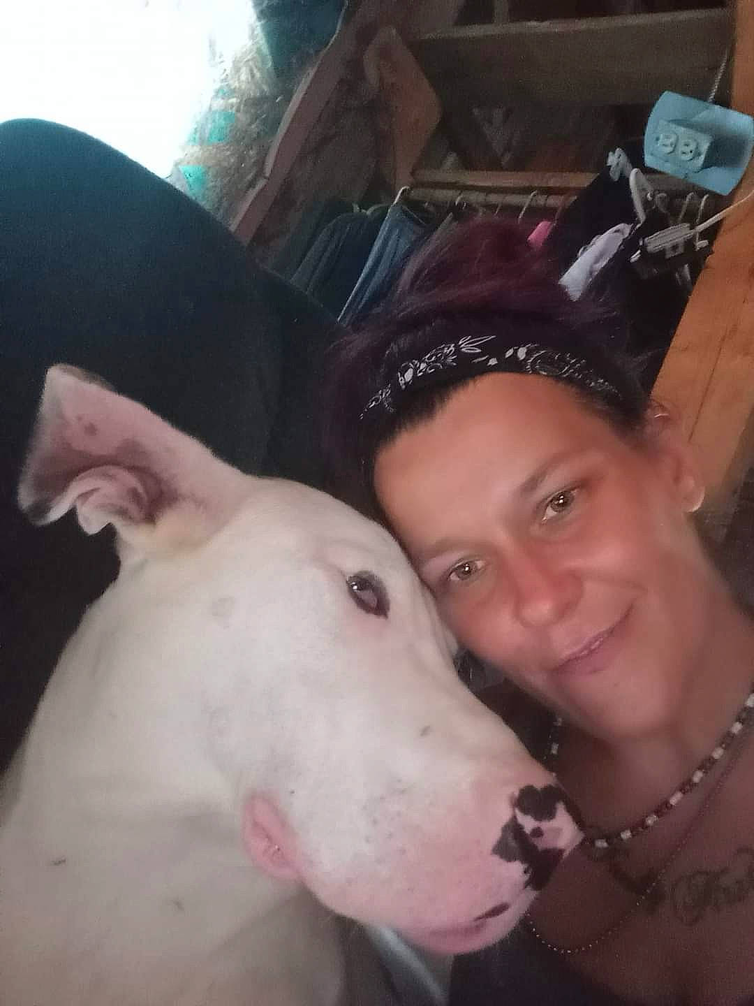 Anne is registered to the contest to win money with this photo: carnivore, companion_dog, dog, dog_breed, ear, event, eyewear, fashion_accessory, fawn, fun, fur, happy, jaw, jewellery, nose, party_hat, selfie, smile, whiskers, working_animal