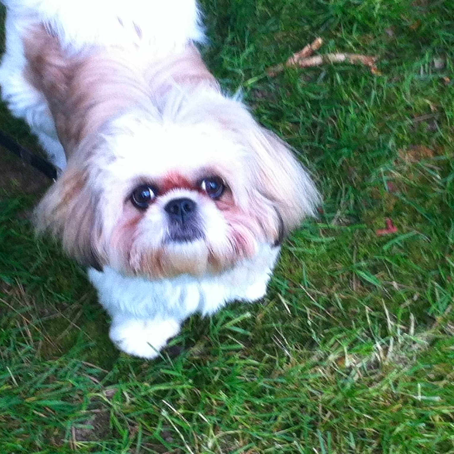 Gracie Lou Mullinax joined the competition — help win amazing prizes!