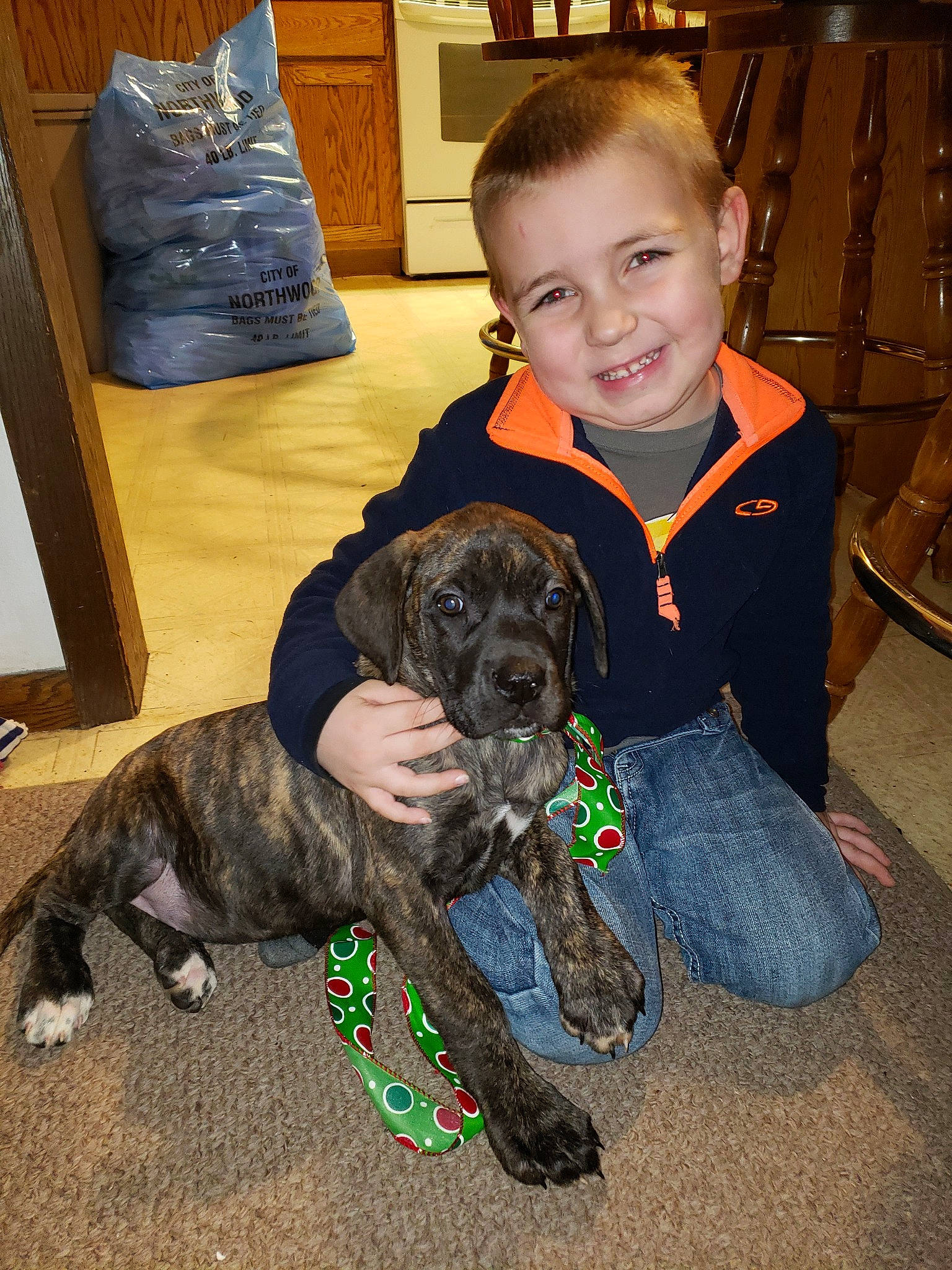 Jason is registered to the contest to win money with this photo: cane_corso, carnivoran, dog, dog_breed, dog_breed_group, dog_like_mammal, guard_dog, joy, mammal, person, puppy, snout, vertebrate