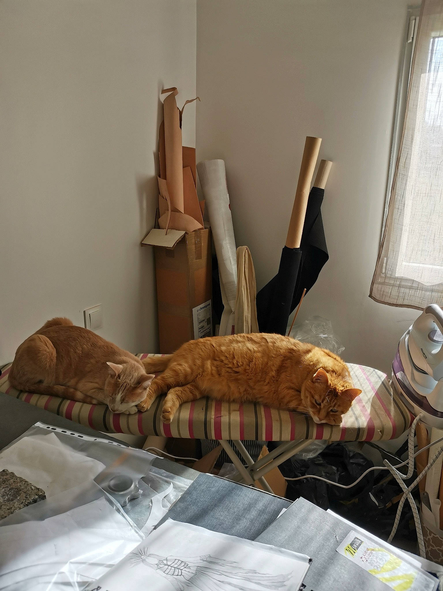 Java participe au concours pour gagner de l'argent avec cette photo : art, bed, bed_frame, bedding, bedroom, building, chair, comfort, couch, feather, flooring, furniture, hardwood, house, linens, living_room, pillow, twig, window, wood