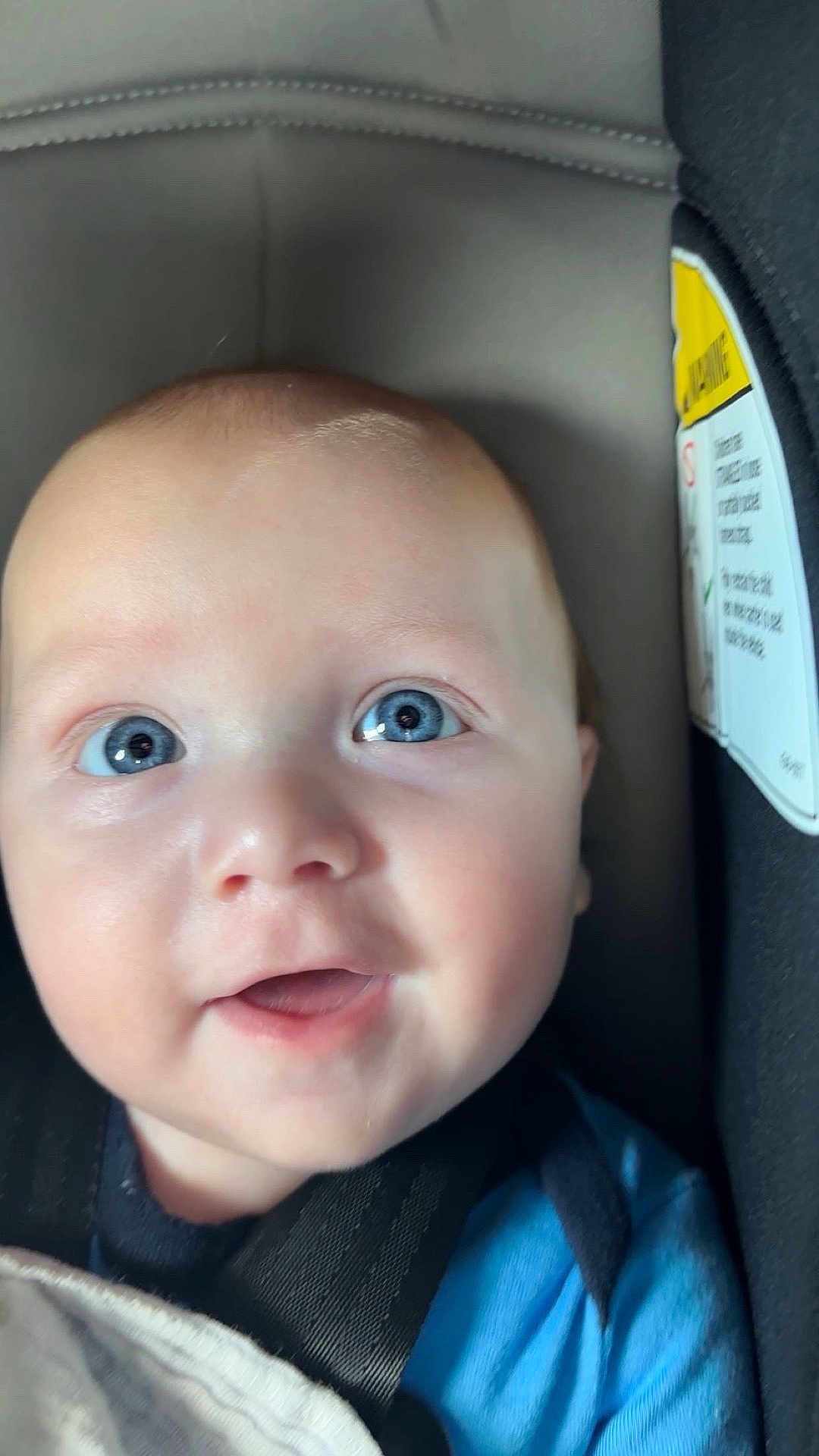 Westynn is registered to the contest to win money with this photo: baby, blue_eyes, car_seat, child, close_up, face, infant, person, seat_belt, safety, smiling, soft_lighting, straps, young_child, cute, head, clothing, indoor, skin, expression