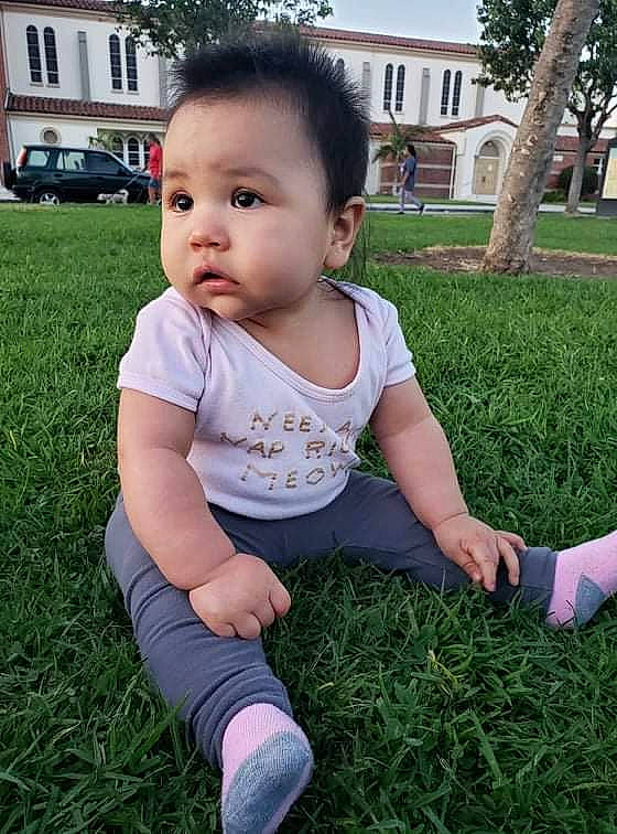 Bailey joined the competition — help win amazing prizes! baby, baby_toddler_clothing, child, grass, grass_family, groundcover, hair, happy, head, leaf, people_in_nature, person, plant, sky, sleeve, summer, tire, toddler, tree, white