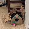animal, black_cat, cardboard_box, carpet, cat, cozy, curious, eye, floor, flooring, furniture_leg, hidden, home, indoor, peeking, pet, playful, shadow, small_space, toy_ball