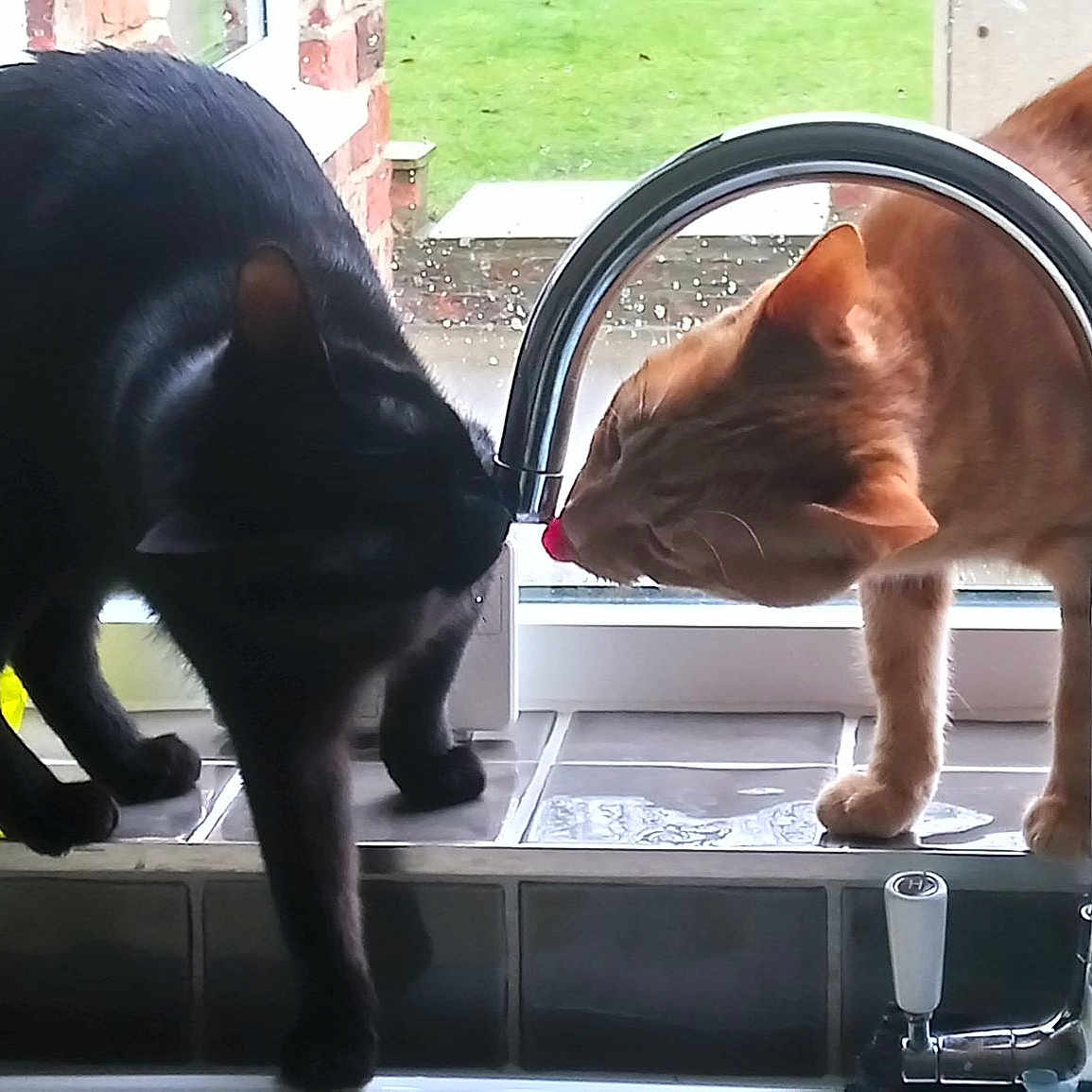 Brother And Sister