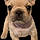 Finley